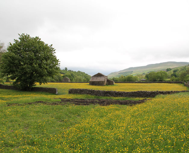 Field Barn in Yellands Meadow