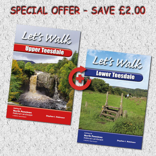 Walking in Upper and Lower Teesdale